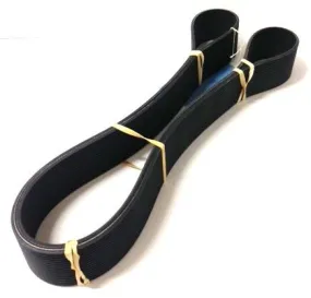 22189021P Drive Belt - Pattern