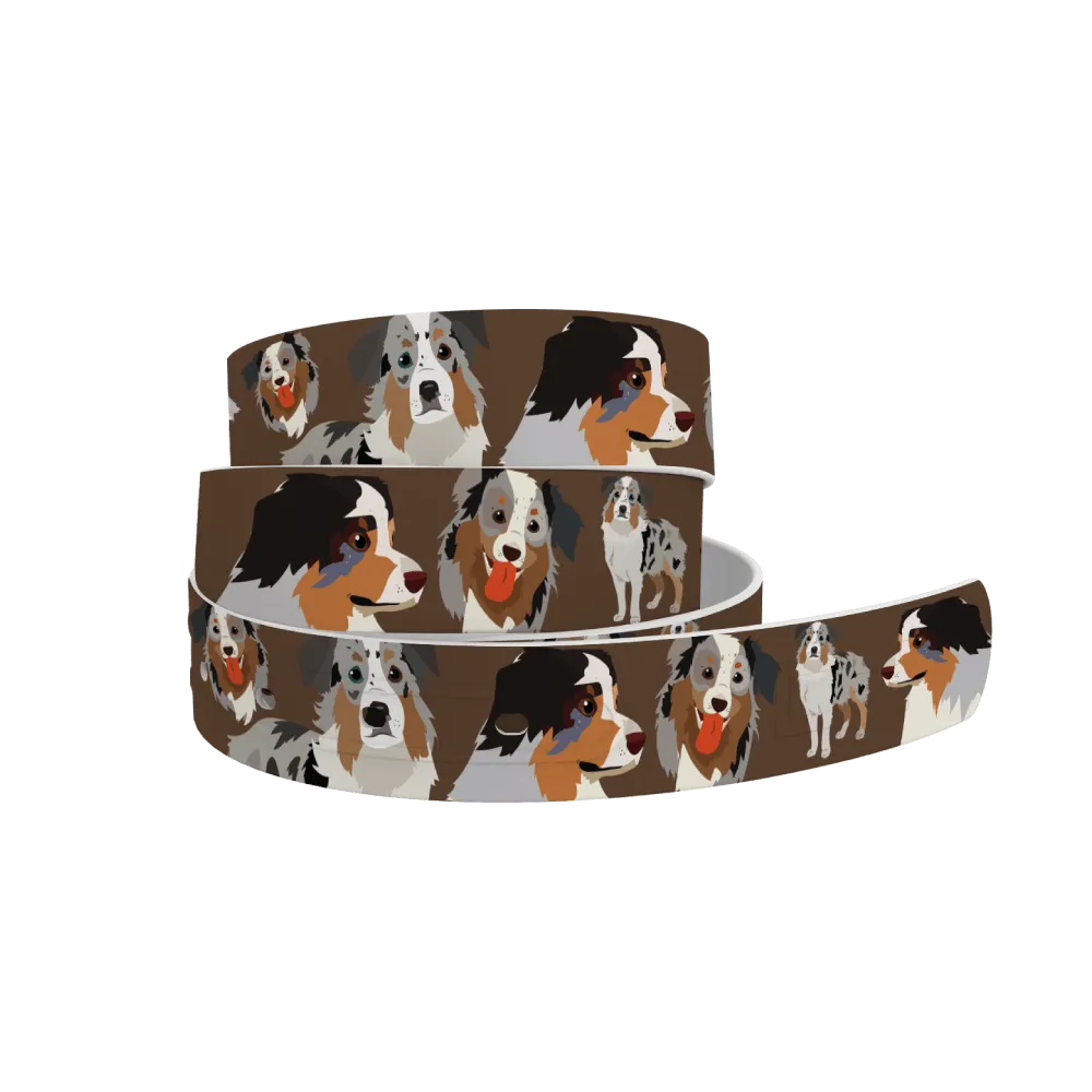 C4- Belt (Australian Shepherd)
