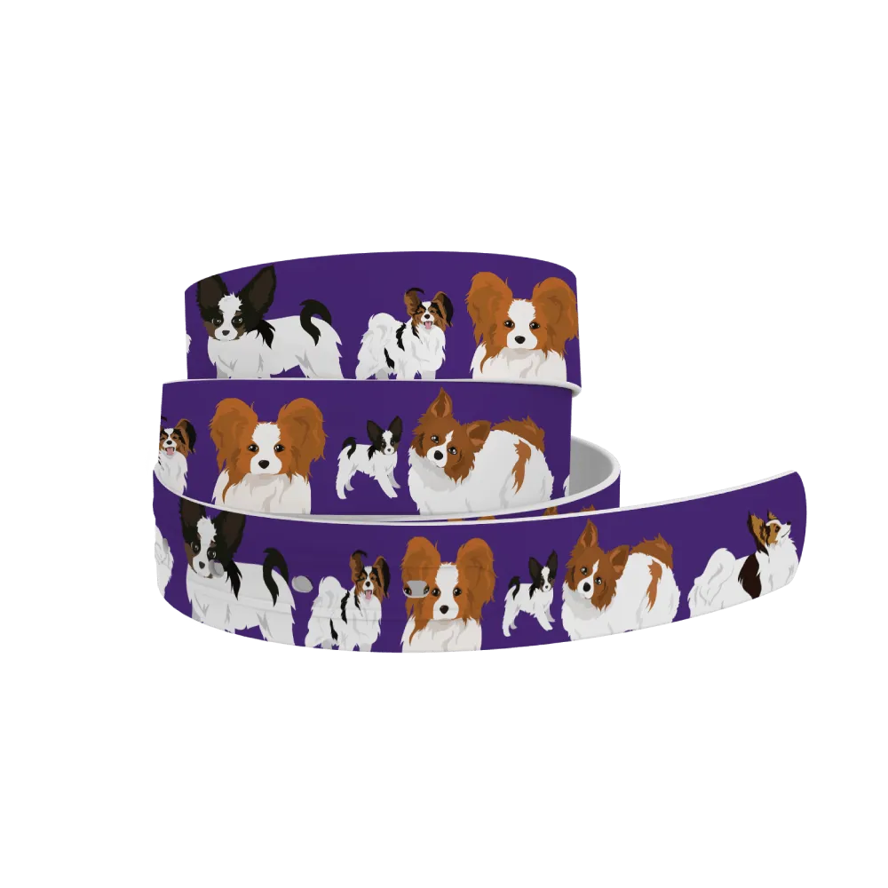 C4- Belt (Papillion)