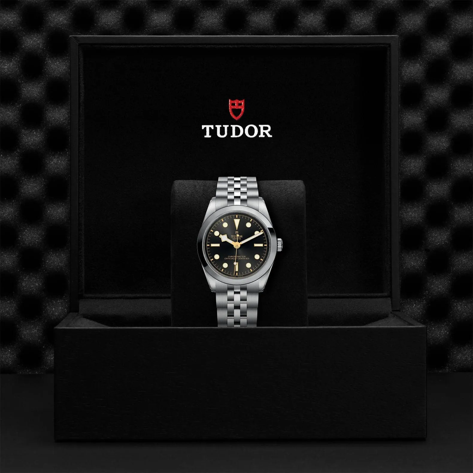 TUDOR Black Bay 36mm Steel Case, Anthracite Dial, Steel Strap (M79640-0001)